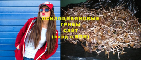 ешки Беломорск