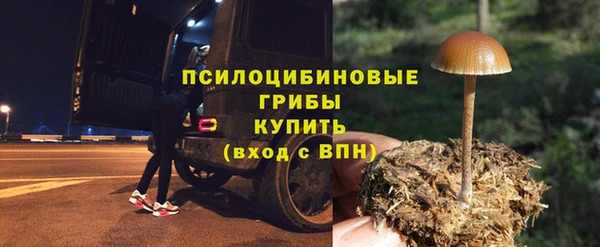 MDMA Белокуриха