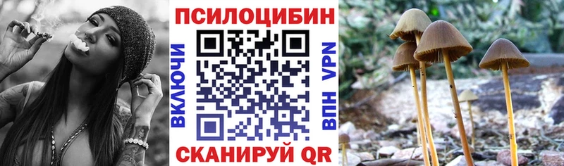 Псилоцибиновые грибы Magic Shrooms  blacksprut   Чёрмоз 